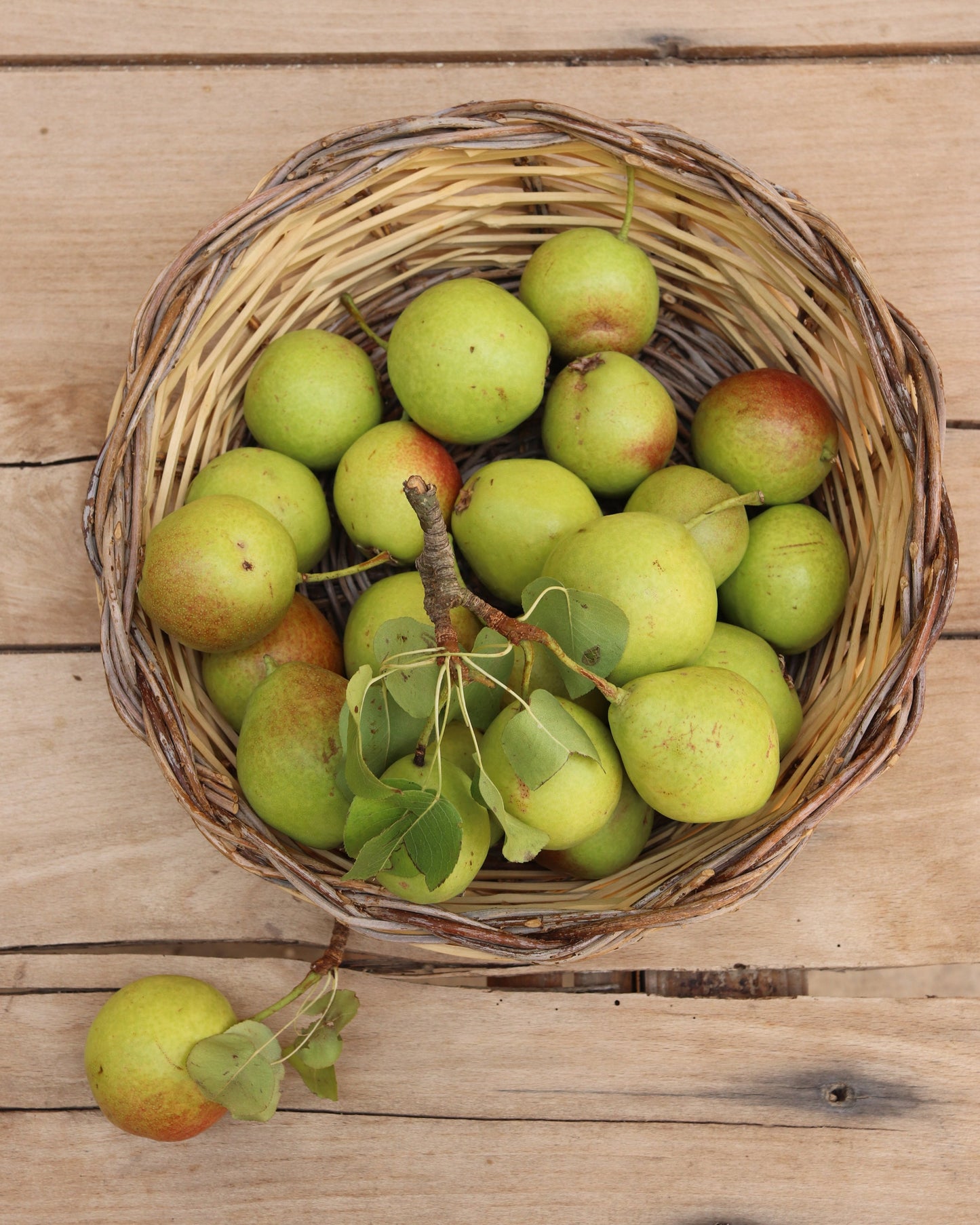 Traditional Sicilian Basket Panaru