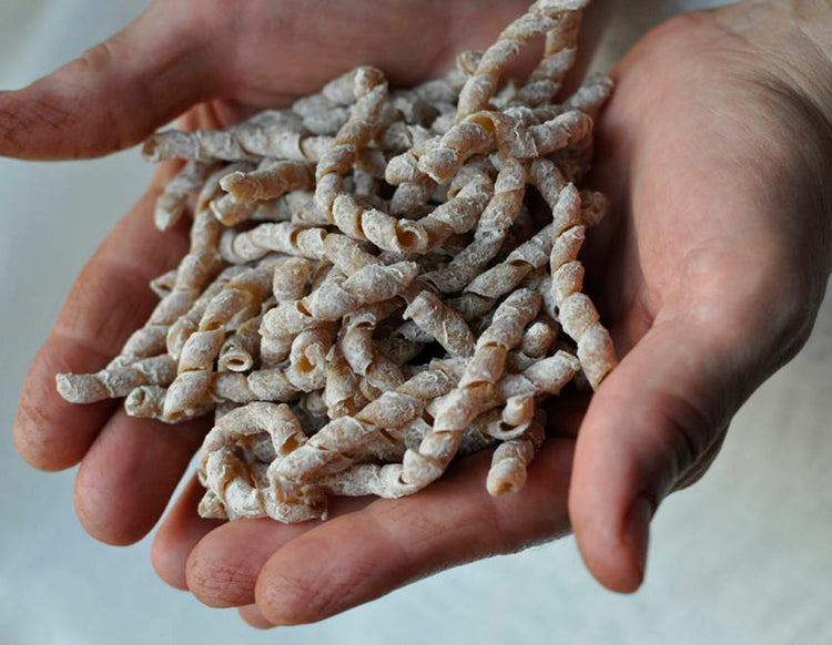 Ancient Grains & Pasta
