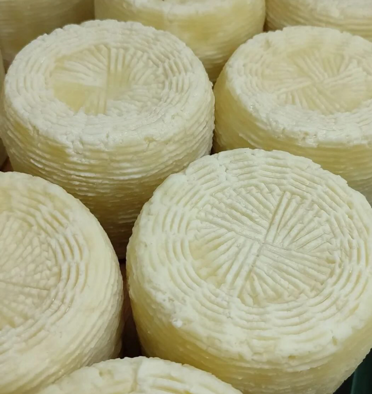 Sicilian sheep's milk cheeses