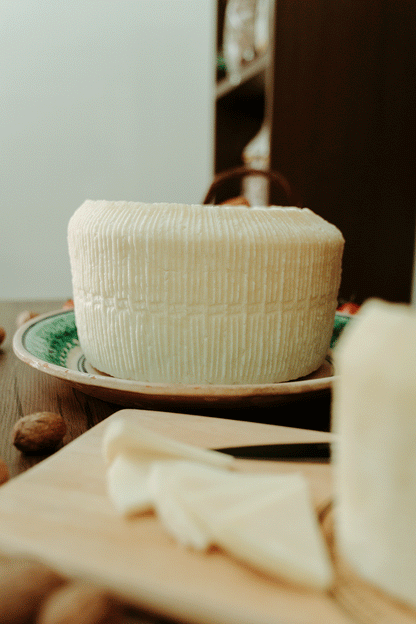 Pecorino Primo Sale – Formaggio Siciliano Fresco con Latte Crudo