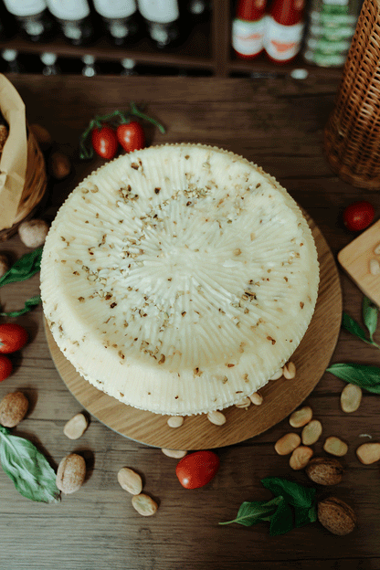 Pecorino Primo Sale al Pistacchio – Formaggio Siciliano Fresco Artigianale