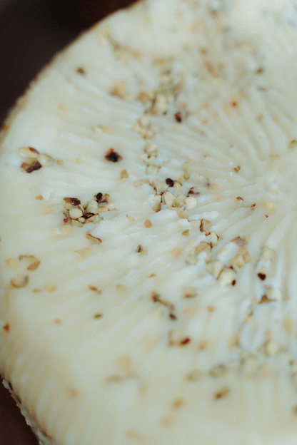 Pecorino Primo Sale al Pistacchio – Formaggio Siciliano Fresco Artigianale