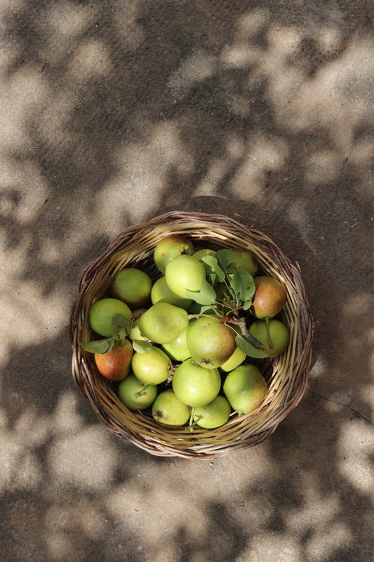 Traditional Sicilian Basket Panaru