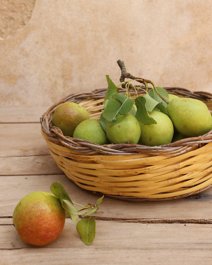 Traditional Sicilian Basket Panaru